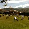 undefined Salud en Movimiento