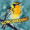 undefined Songbirding