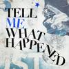 undefined Tell Me What Happened