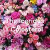 undefined Trigliceridos Y Colesterol