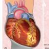 undefined Urgencias Traumatologicas
