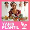 undefined Yahis Plantil
