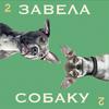 undefined Завела собаку