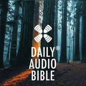 1 Year Daily Audio Bible