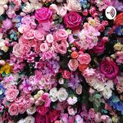 Podcast 3 minutos y 6