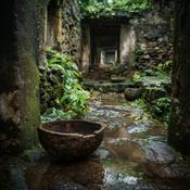 Podcast 45 Vassas - Unpacking Theravada Buddhism Teachings