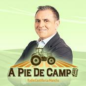 Podcast A pie de Campo