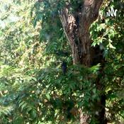 Podcast Act-1 Andrag_PBM