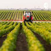 Podcast Agricultura