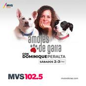 Podcast Amores de garra