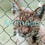 Podcast Animales