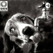 Podcast Animales