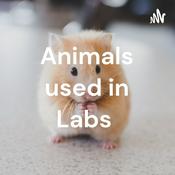Podcast Animals used in Labs