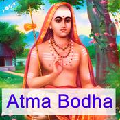 Podcast Atma Bodha - die Erkenntnis des Selbst
