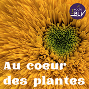 Podcast Au cœur des plantes