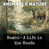 Podcast Bambi- A Life in the Woods