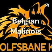 Podcast Belgian Malinois