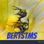 Podcast bertstms