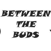 Podcast Between The Buds