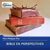 Podcast Bible en perspectives