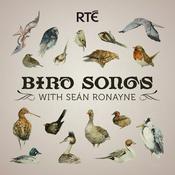 Bird Songs with Seán Ronayne