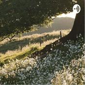 Podcast Book IV. Children of Adam, Leaves of grass