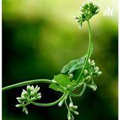 Podcast Botanica 1