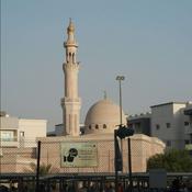 Podcast Breaking Bonds