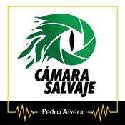 Podcast Cámara Salvaje