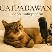 Podcast CatPadawan, donde conectamos con los gatos