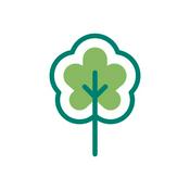 Podcast Centenario en Verde