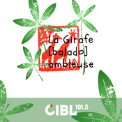 Podcast CIBL 101.5 FM : La Girafe Ambleuse