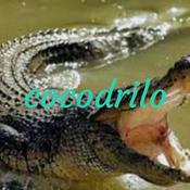 Podcast cocodrilo
