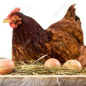 Podcast COMO FUE QUE LAS PLANTAS COBRARON VIDA