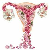 Podcast Compreendendo O Ciclo Menstrual