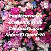 Podcast Consecuencias Económicas En Cosamaloapan Sobre El Covid-19