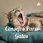 Podcast Consejos Para Gatos🐱