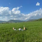 Podcast Contes Inventats