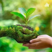 Podcast Cuidemos Nuestro Aire🌿