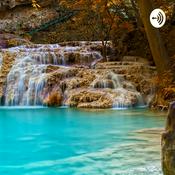 Podcast Curiosidades de la naturaleza