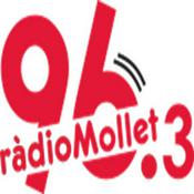 Podcast Darrers podcast - Ràdio Mollet