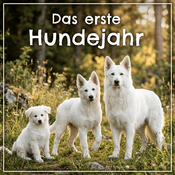 Podcast Das erste Hundejahr - vom Welpen durch die Pupertät