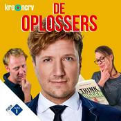Podcast De Oplossers