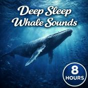Podcast Deep Sleep Whale Sounds: Soothing Ocean Ambience for Sleep, Relaxation, Meditation, and Stress Relief