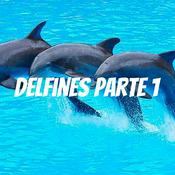 Podcast Delfines parte 2