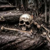 Podcast Der Podcast des Grauens