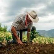 Podcast DESARROLLO RURAL