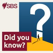 Podcast Did you know?