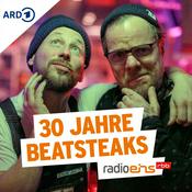 Podcast Do You Remember? - 30 Jahre Beatsteaks