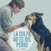 Podcast El encantador de perros argentino